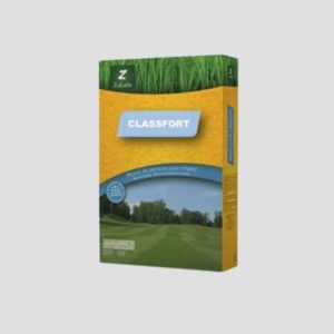 Césped decorativo y de bajo mantenimiento – Classfort