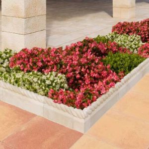 BORDILLO PARA JARDIN CORDA