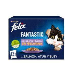 FELIX FANTASTIC FAVORITOS 12x85g (6ud./caja)