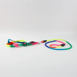 Set de Correa y Pechera para Mascota Multicolor