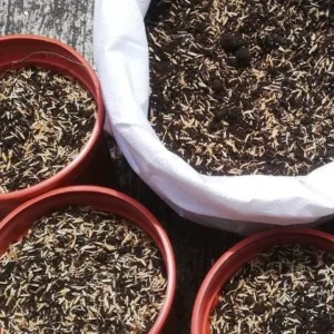 Cascarilla de arroz quemada – granulometría fina (tipo polvo)