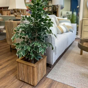 Macetero madera de teca 37x34x34 cm