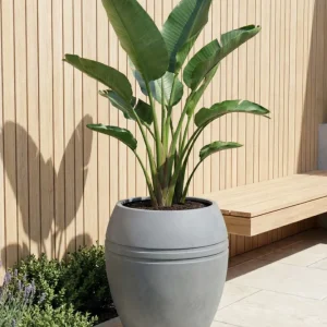 Maceta Extra Grande Pisa 224 L