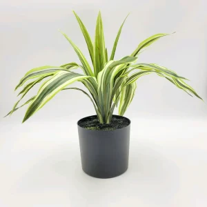 Maceta dracaena real touch 40x40x28