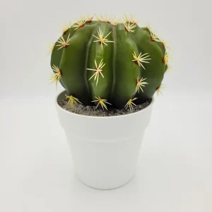 Cactus 21 cm