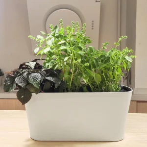 Maceta Autorriego Cloud 40 cm