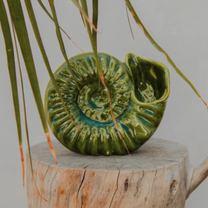 Maceta Amonita