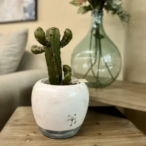 Macetero blanco azul