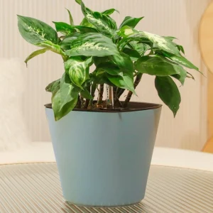 Maceta de Autorriego Oceans 35 cm