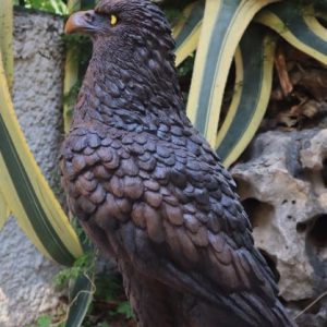 FIGURA DE AGUILA PARA JARDIN TURUL