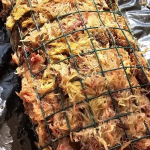 Tutor de Musgo Sphagnum para plantas trepadoras