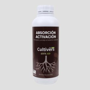 Absorción y Activación –  CULTIVERS