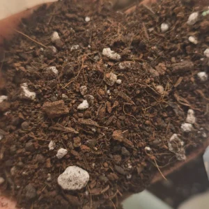 Sustrato Almaciguera – 20 L