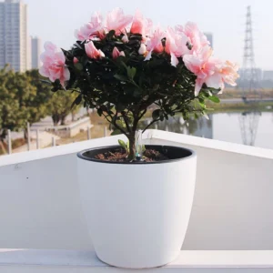 Maceta autorriego Aquas 28cm