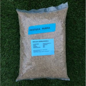 Semillas de césped para Sombra Intensa