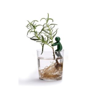 Hombrecito Tutor para plantas y esquejes