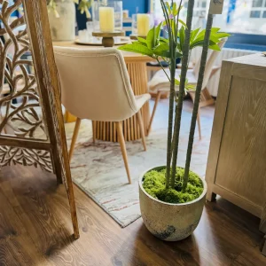 Macetero de cemento Nauplia M 33x27 cm