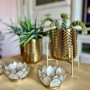 Macetero dorado con pie